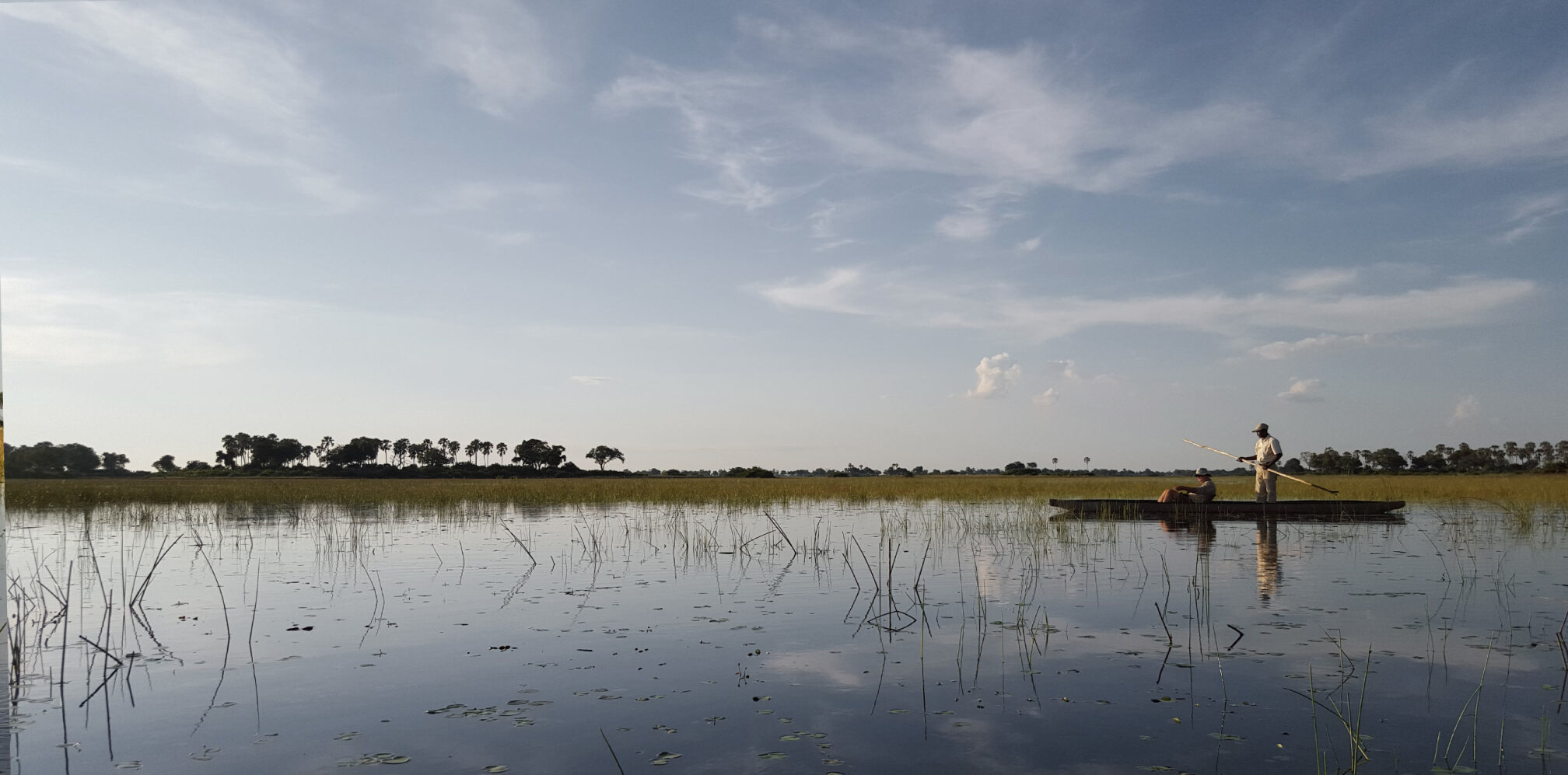 El Delta del Okavango, el safari más salvaje.
