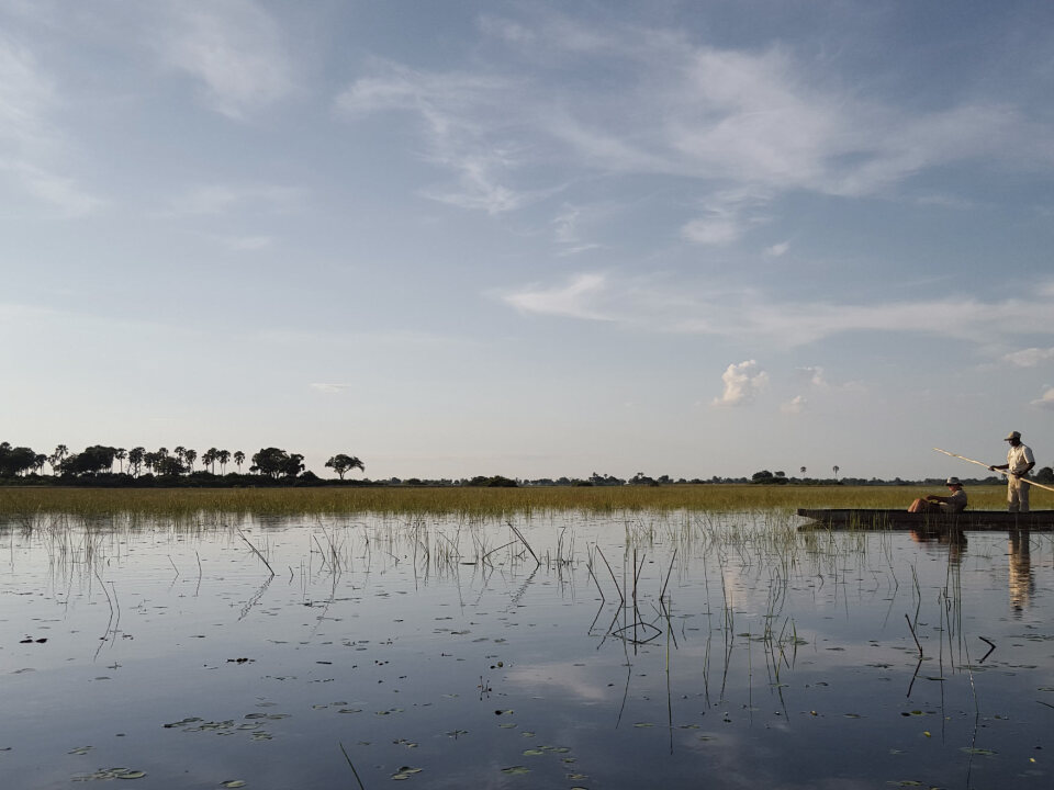 El Delta del Okavango, el safari más salvaje.