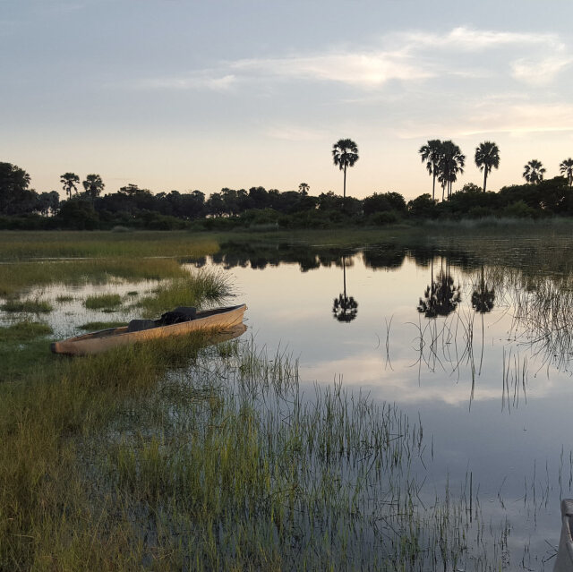 Navegarem el Delta de l'Okavango en avioneta i en mokoro en una experiència brutal.