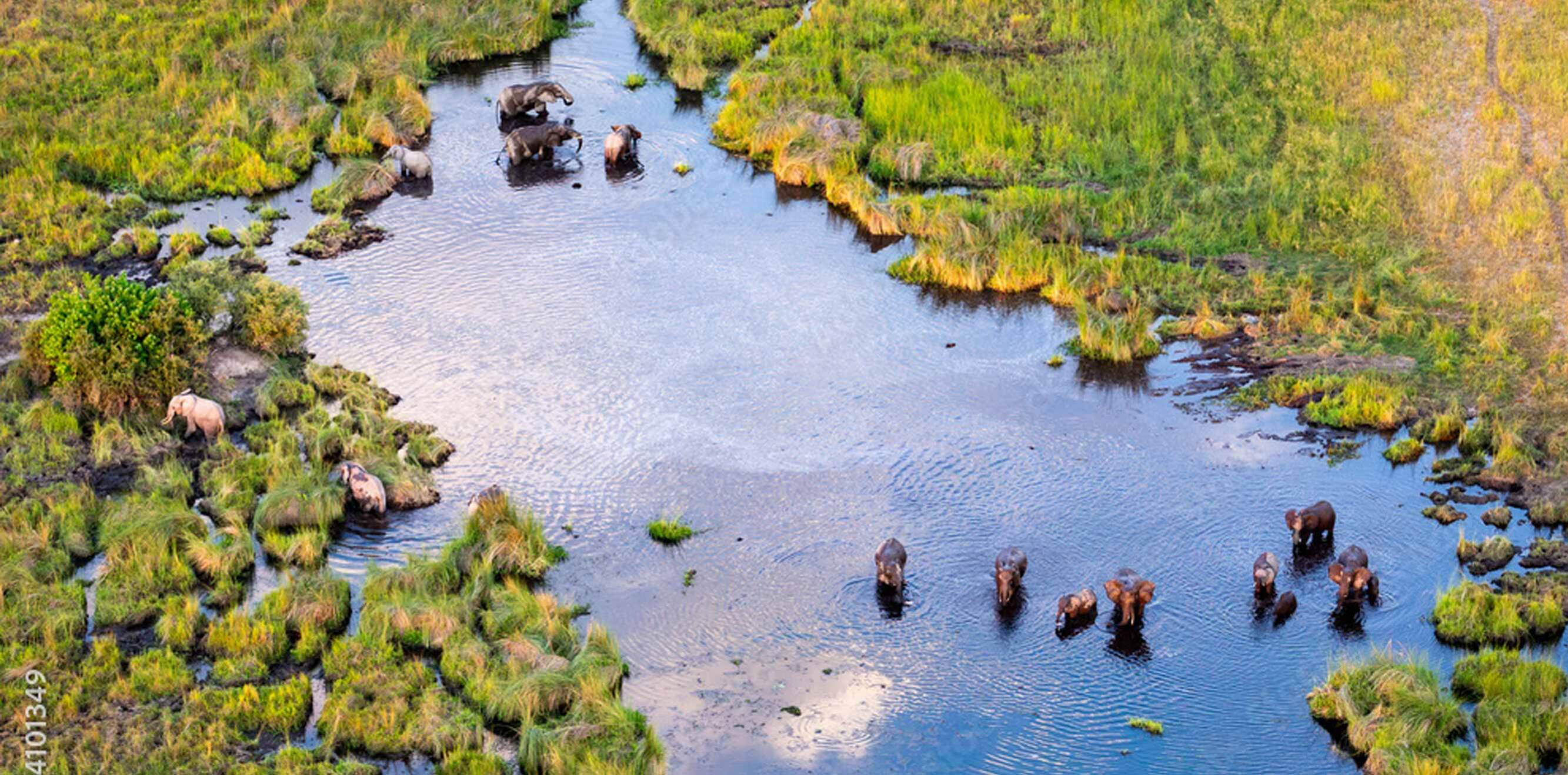 El delta de l'Okavango