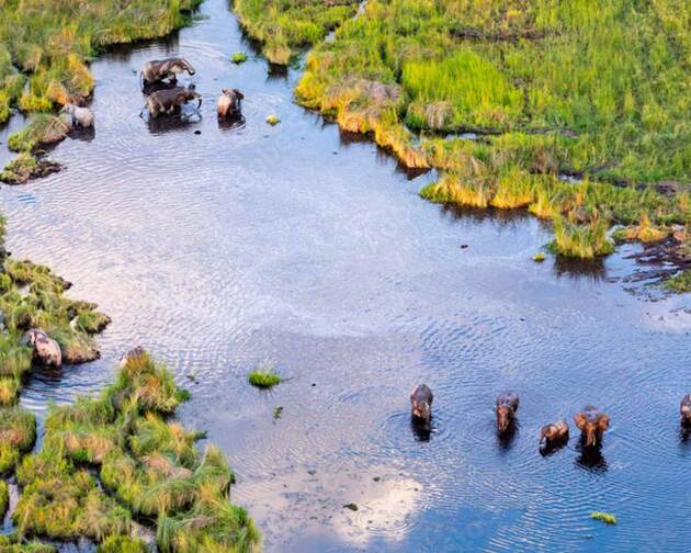 El delta de l'Okavango