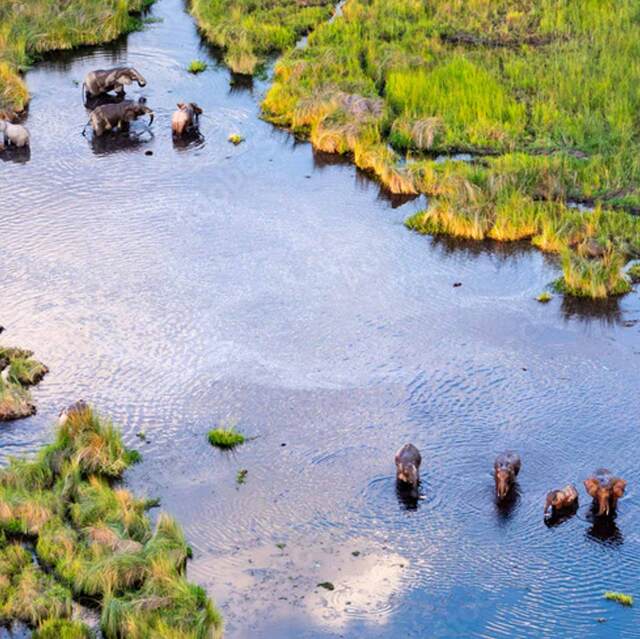 Nada es más espectacular que sobrevolar el Delta del Okavango en avioneta.