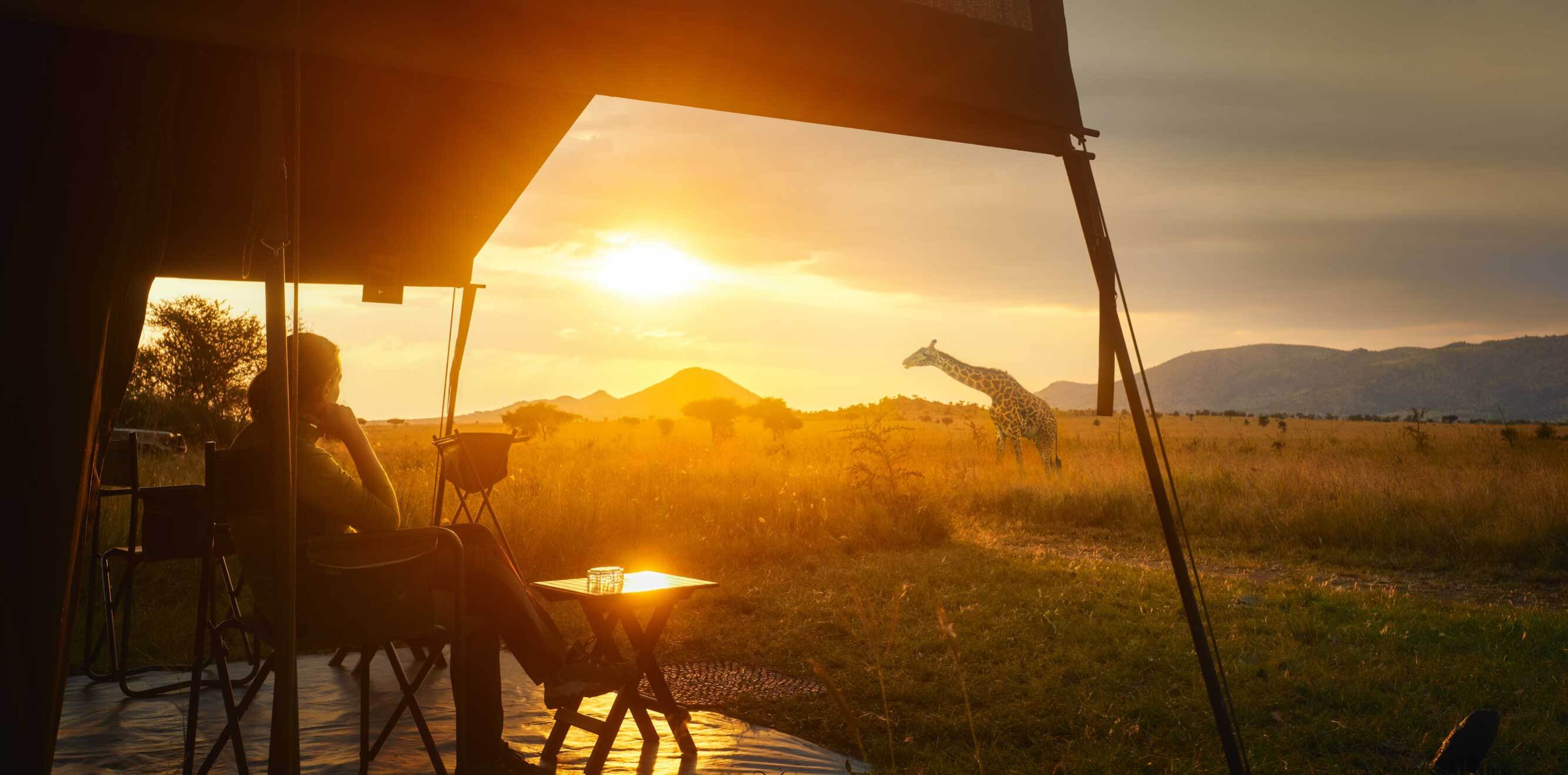 Blackpepper Confort Safari Head 01