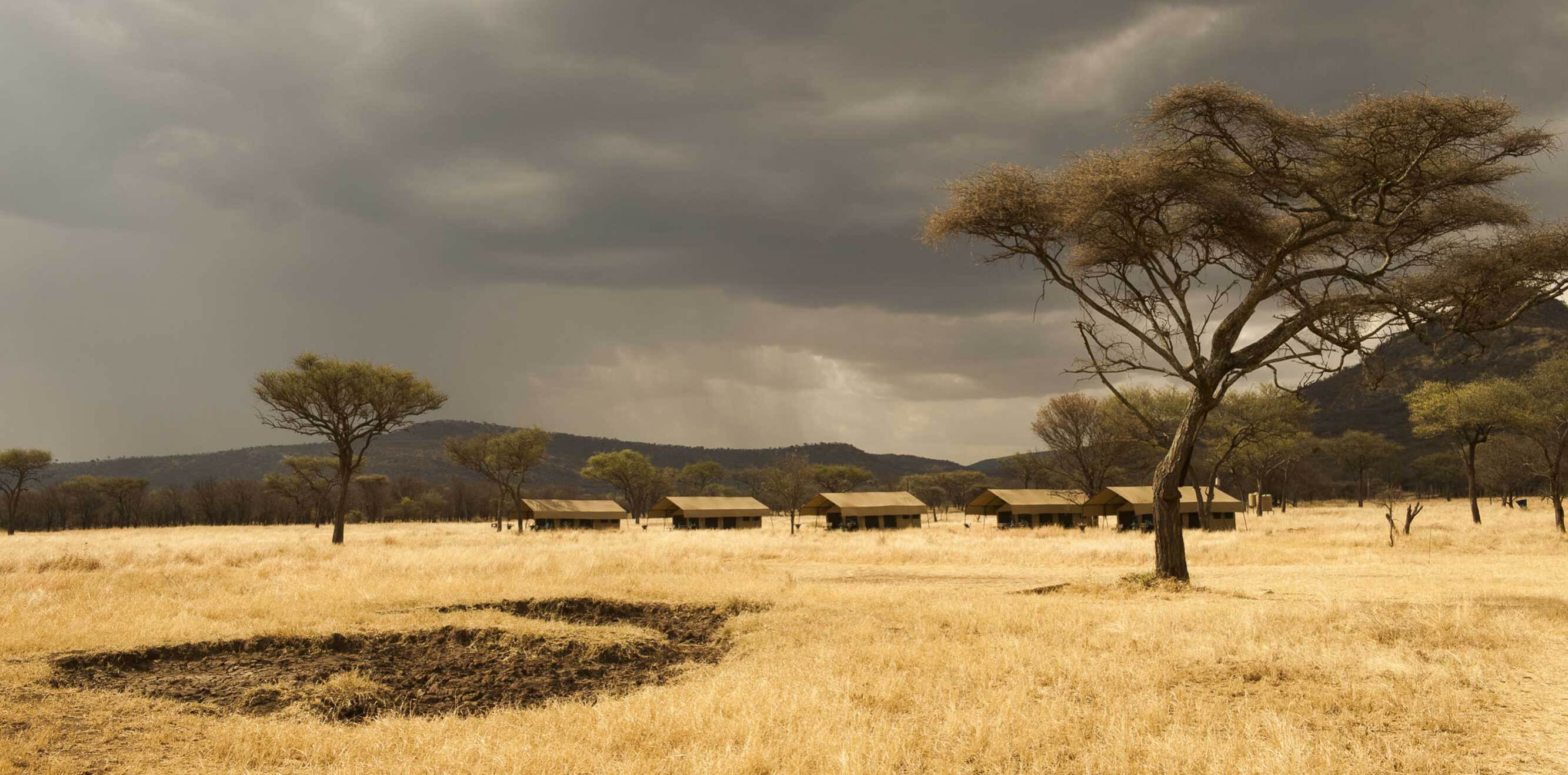 El safari ideal per als qui busquen una escapada a Àfrica allotjant-se en llocs de somni.