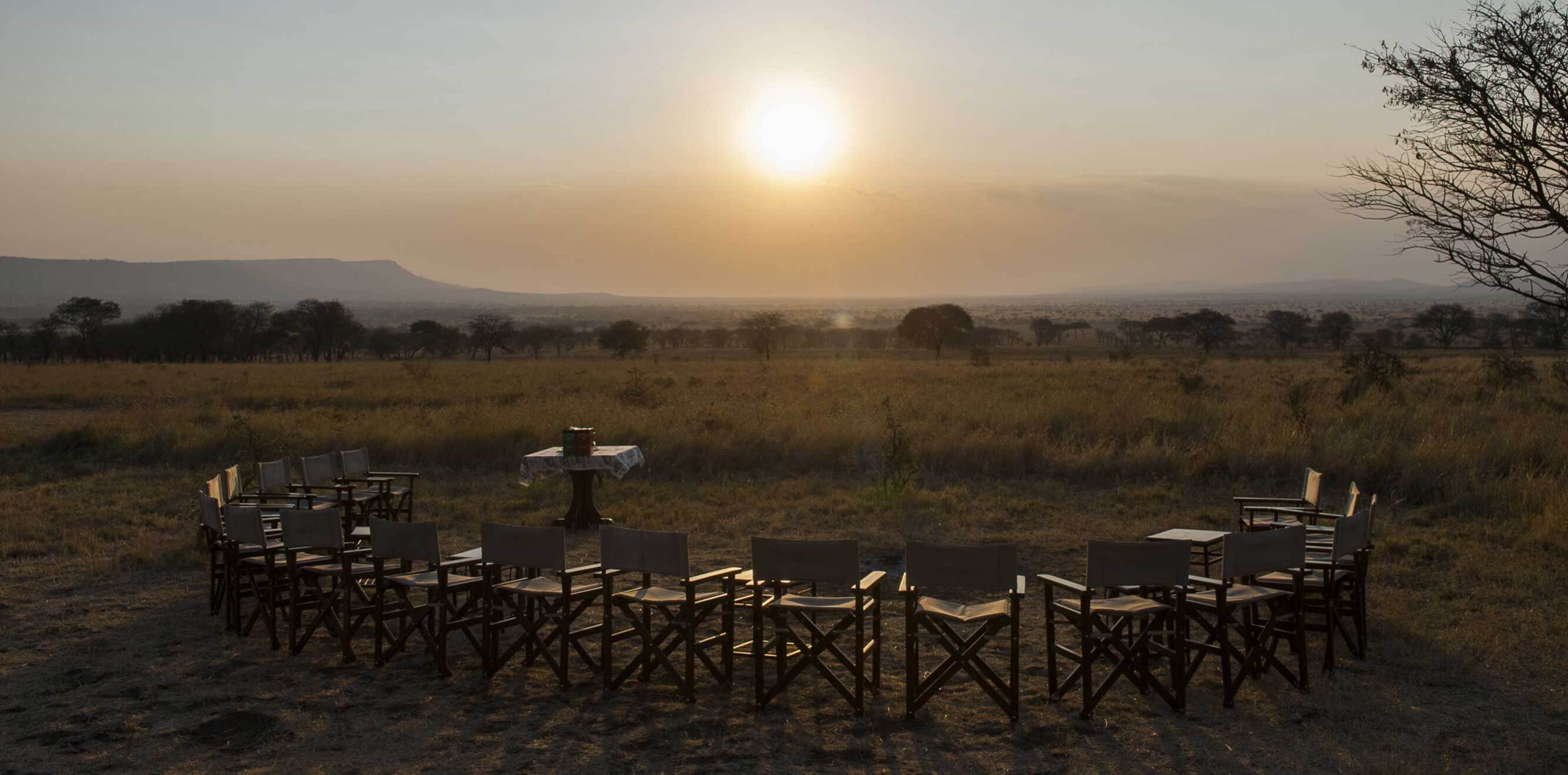 Un gran safari por Tanzania para quienes buscan aventura con confort.