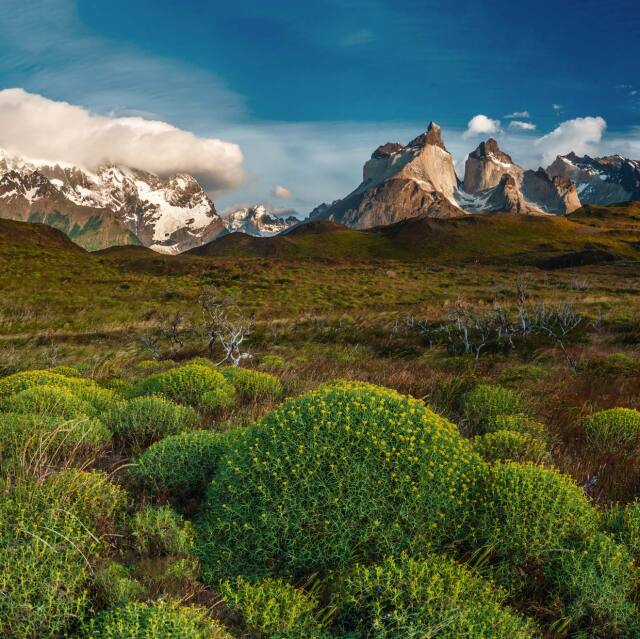 Paisajes imponentes, glaciares y majestuosas montañas en Torres del Paine.