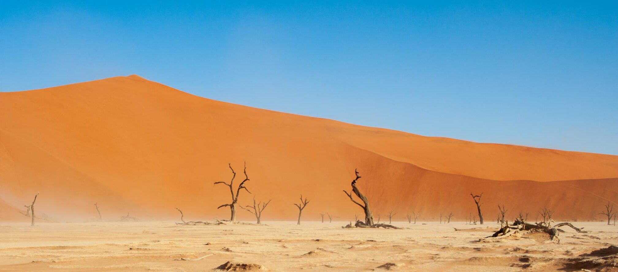 El desert del Namib.