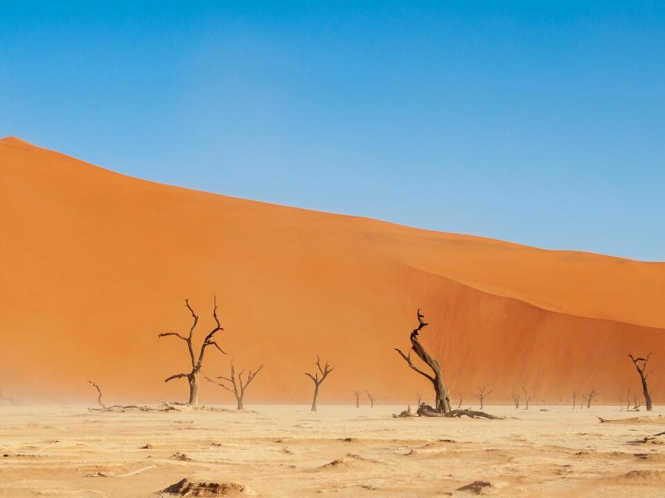 El desert del Namib.
