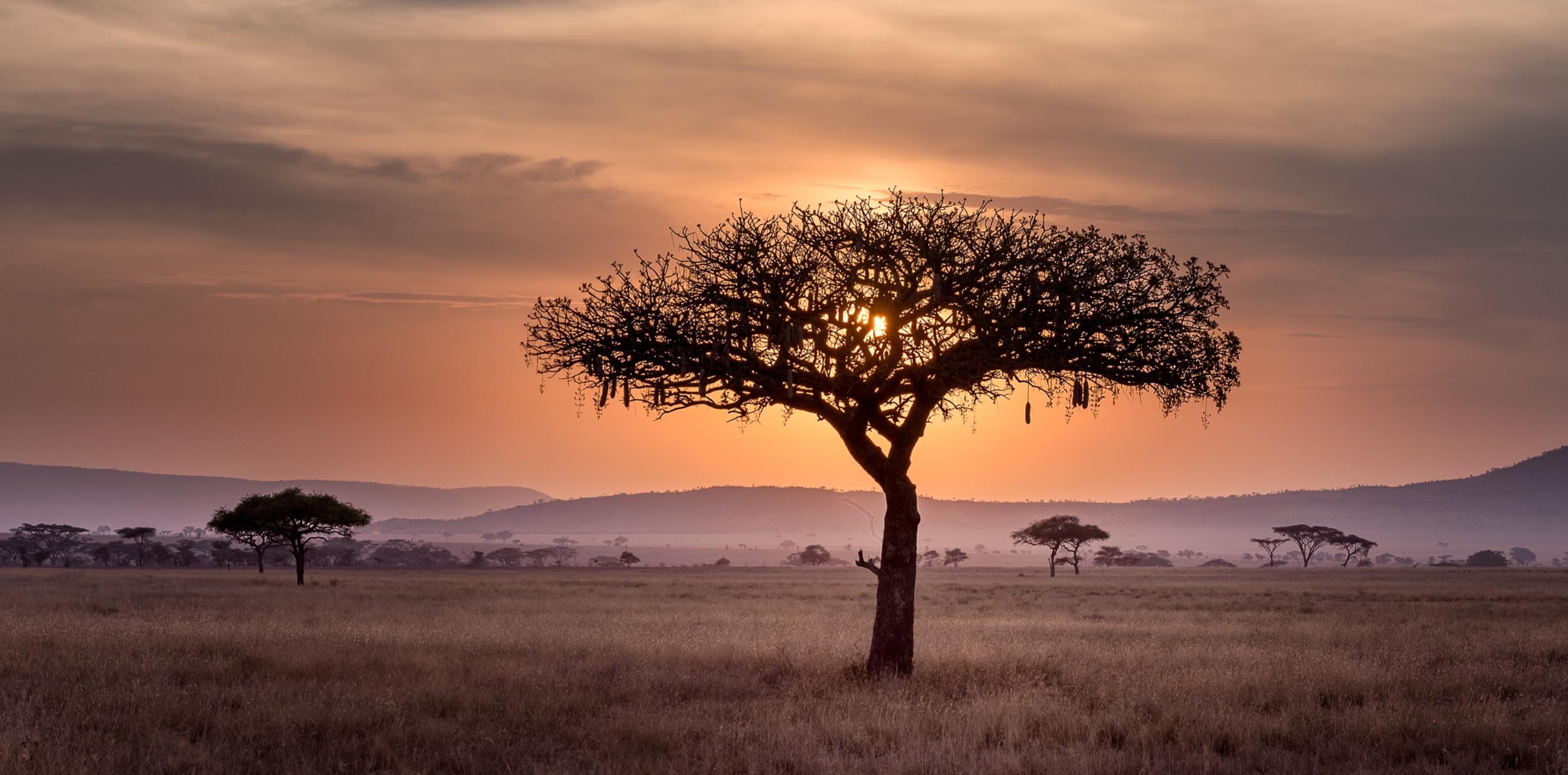 Un viaje de aventura por Kenia y Uganda.