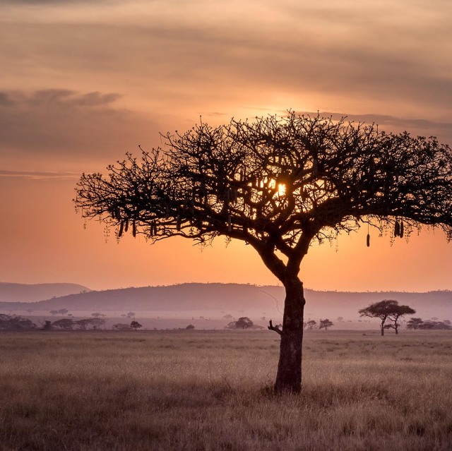 Pararemos el tiempo para disfrutar de las impresionantes puestas de sol de África en mitad de la sabana.
