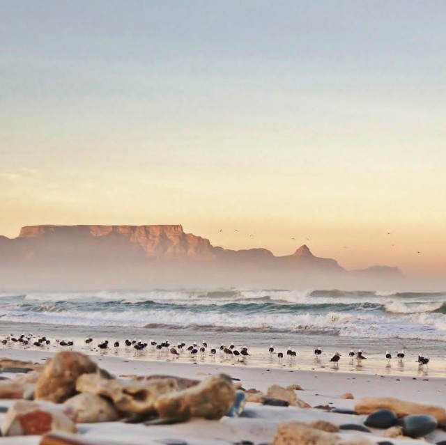  Aterrarem a Ciutat del Cap on podrem gaudir de tota la bellesa d'aquesta ciutat.