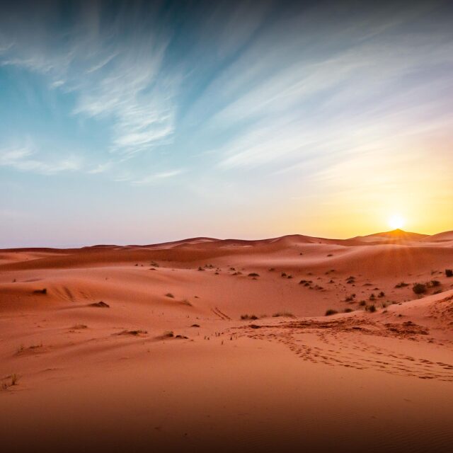 Viurem la immensitat del desert des de les dunes del Erg Chebbi.