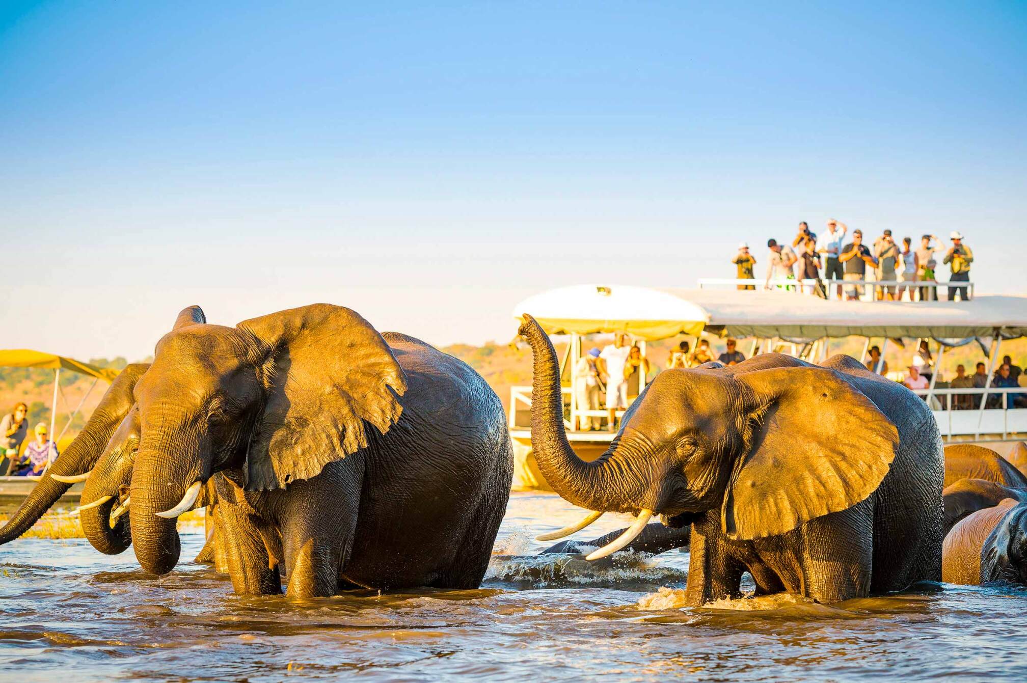 Viajes Botswana