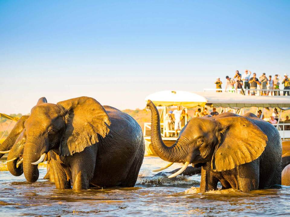 Viajes Botswana