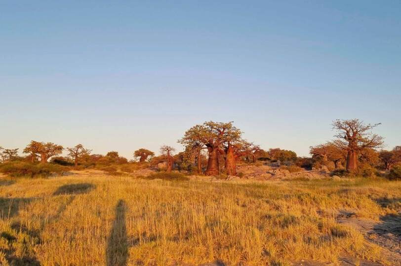 Viajes Botswana