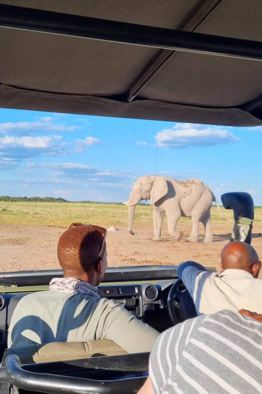 Viatges Botswana