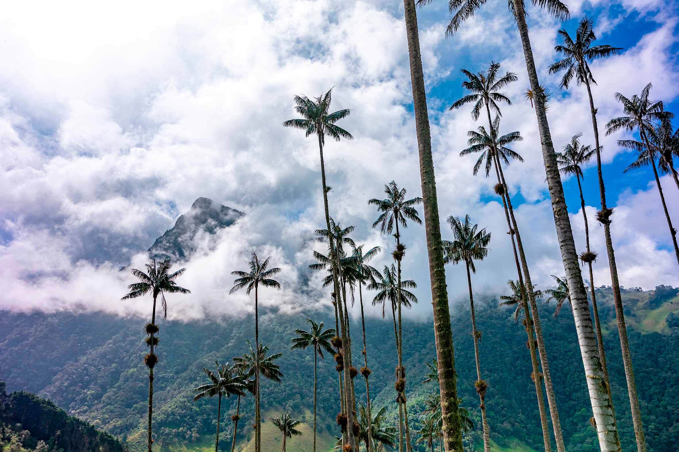 Colombia Inédita