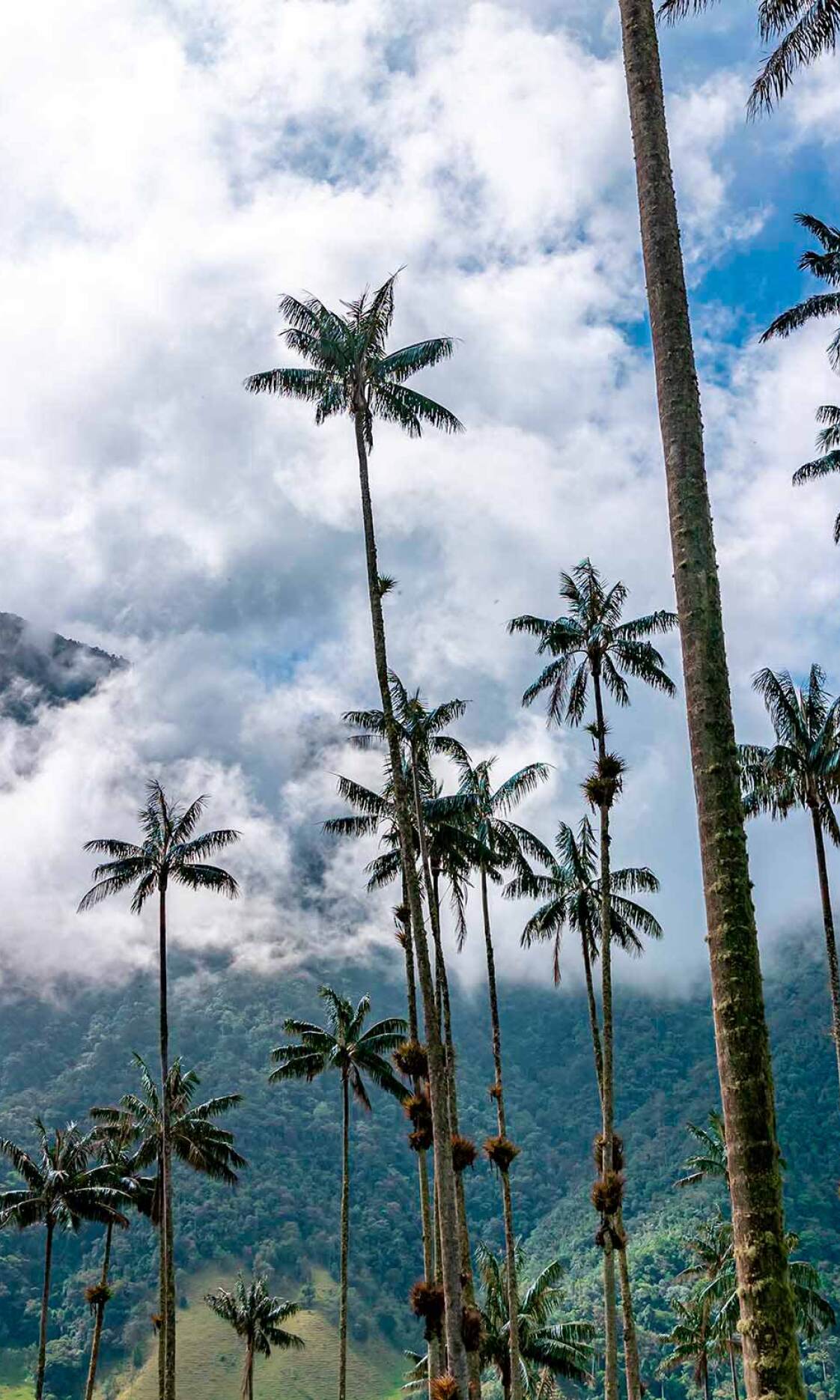 Colombia Inédita