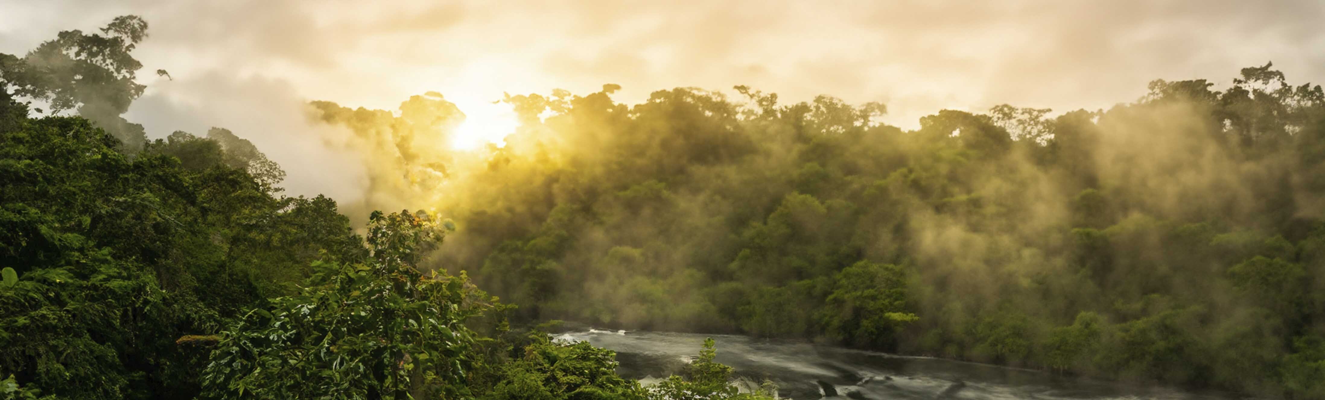 Colombia Aventura y trekking Ciudad Perdida