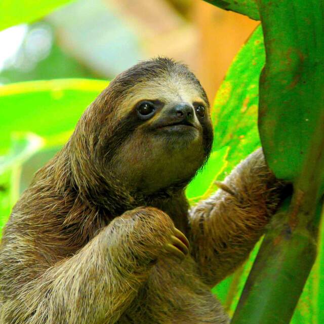 Viaje Costa Rica