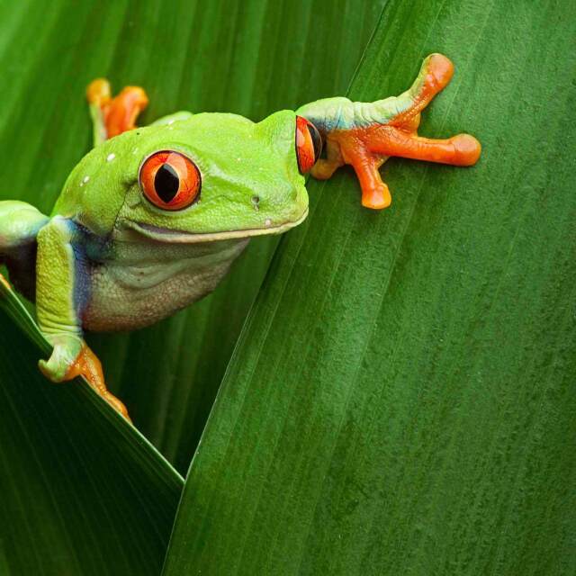 Viaje Costa Rica