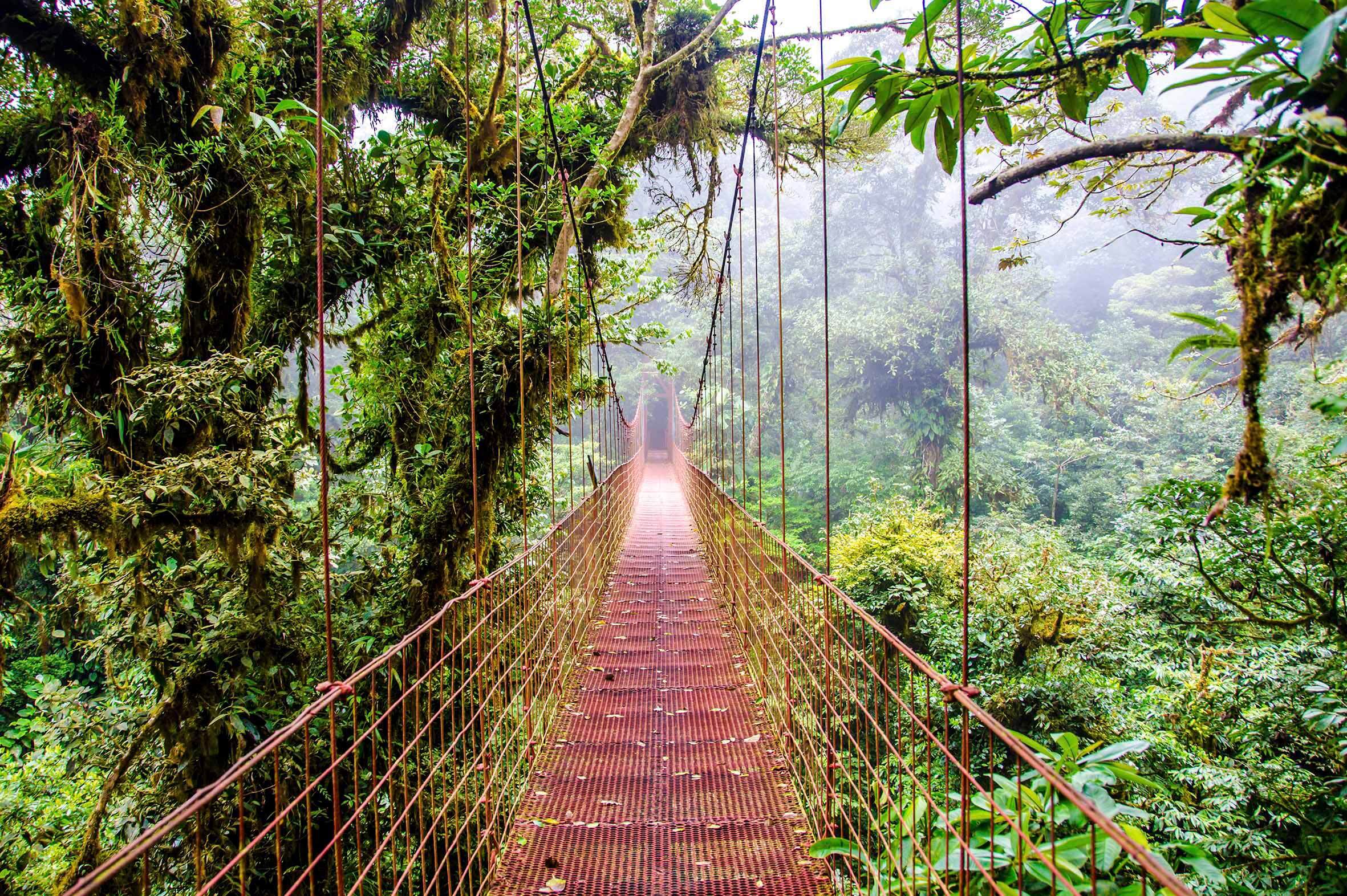 Viatge Costa Rica 