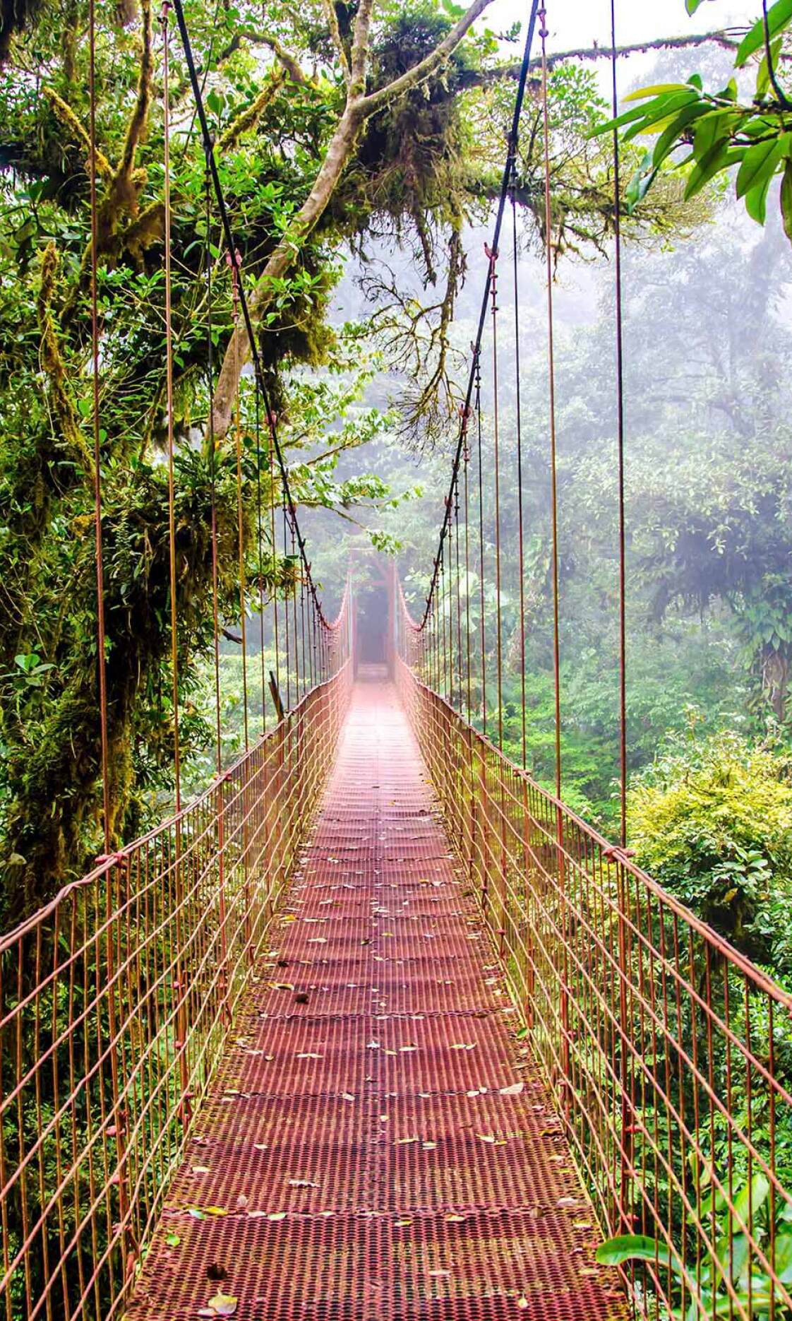 Viatge Costa Rica 