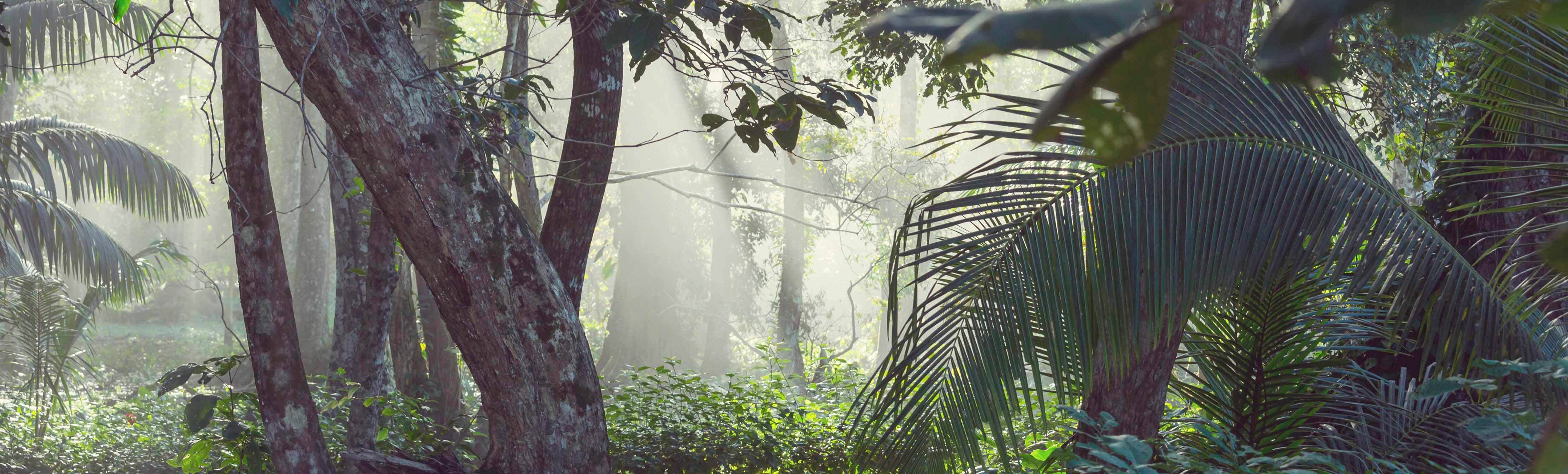 Costa Rica, pionero en energías renovables, sostenibilidad y ecoturismo.