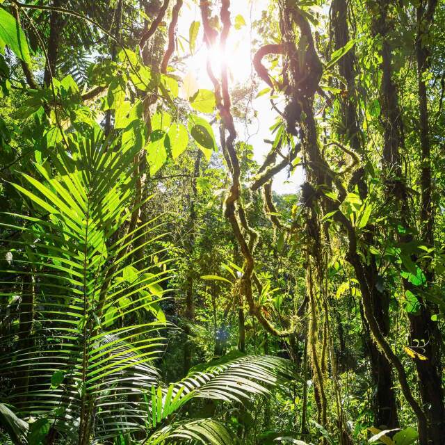 Viaje Costa Rica