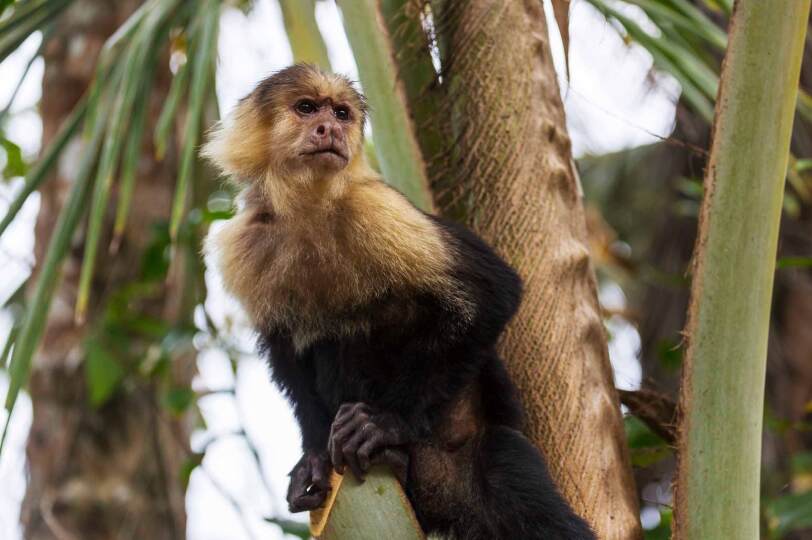 Viaje Costa RIca