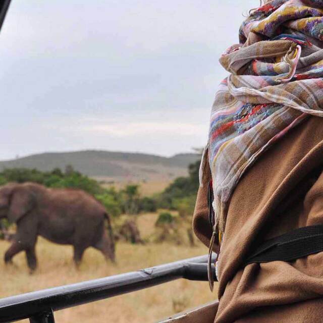 Safaris Kènia i Tanzània