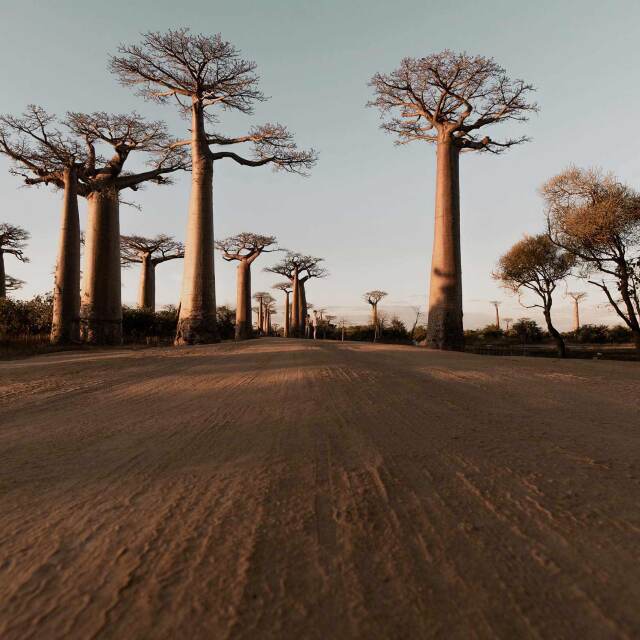 Viatges Madagascar