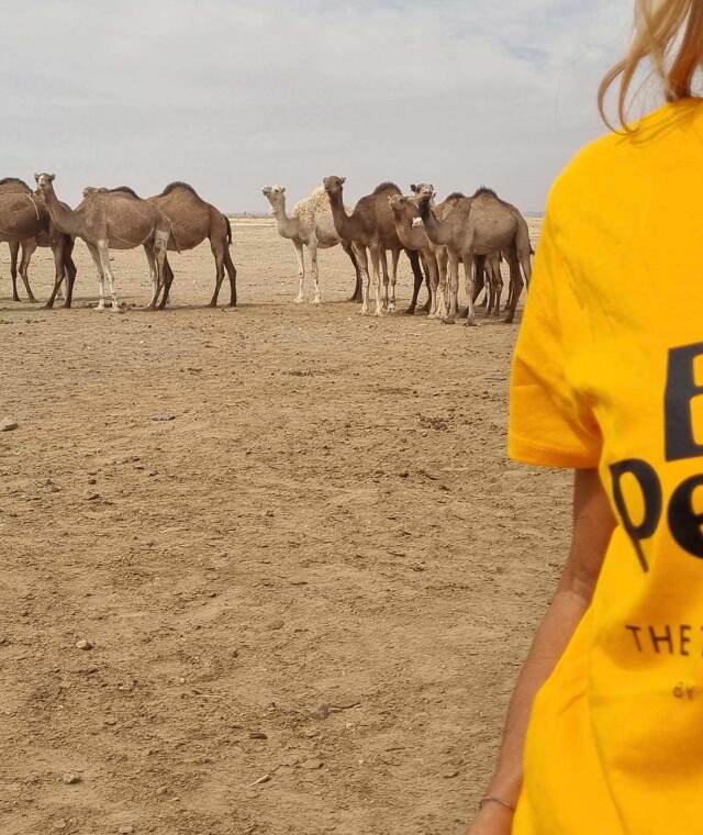 Viajes Mauritania
