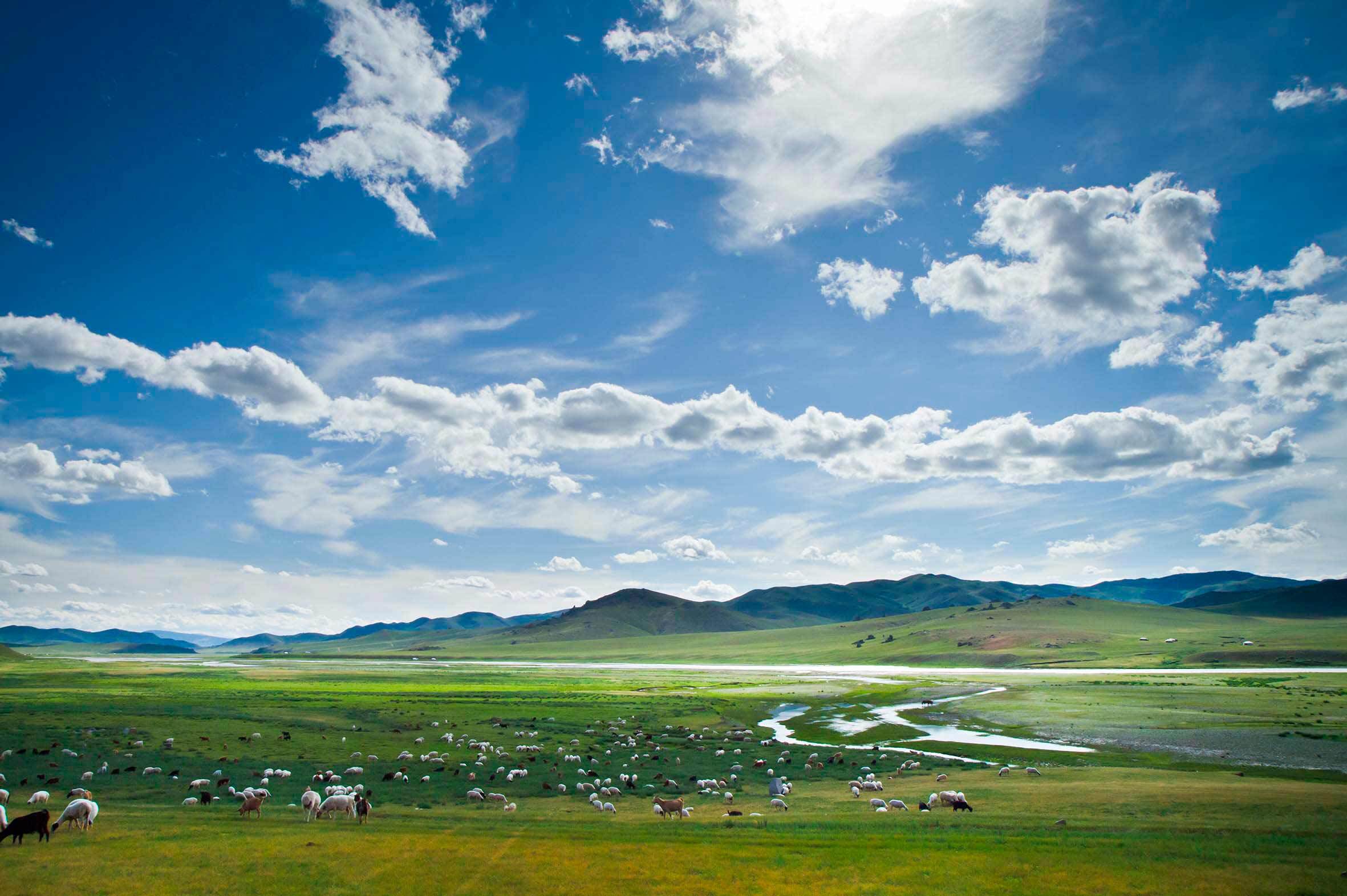 Viatge Mongòlia