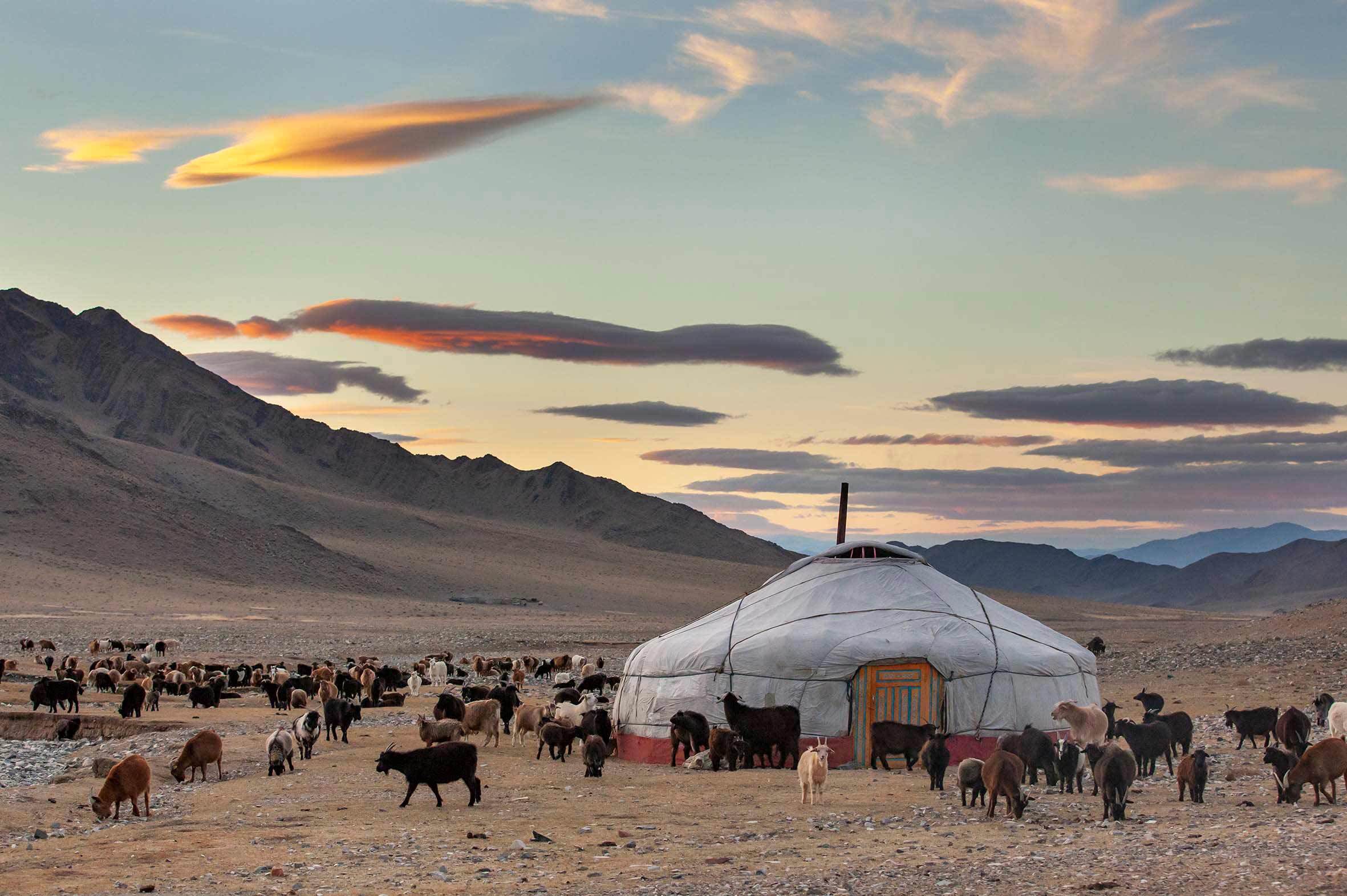 Viatge Mongòlia
