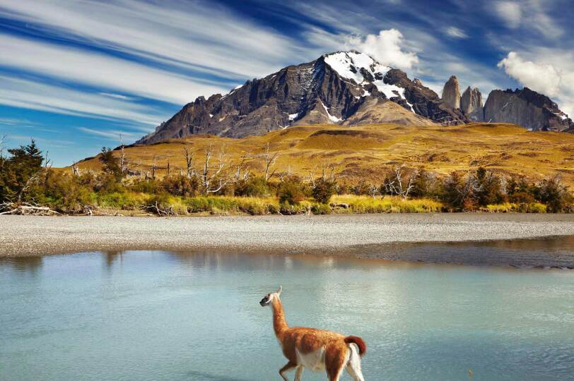 Viaje Patagonia