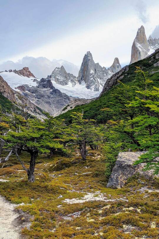 Viaje Patagonia