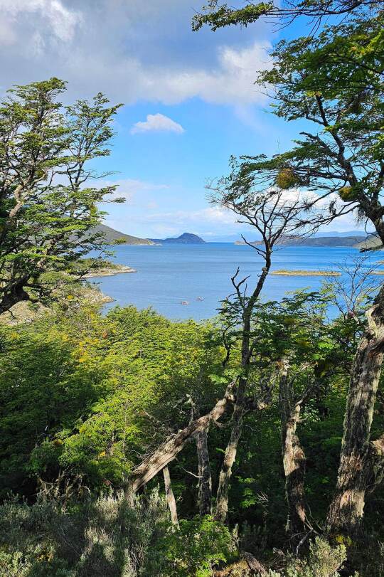 Viaje Patagonia