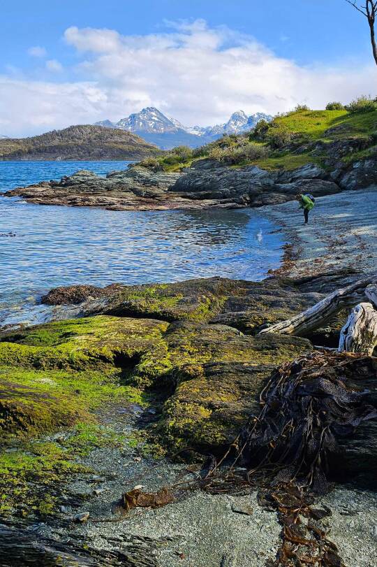 Viaje Patagonia