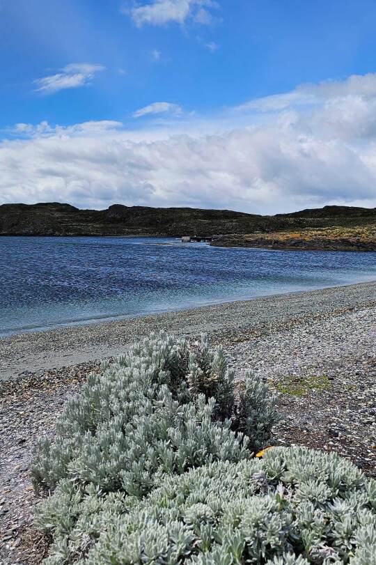 Viaje Patagonia