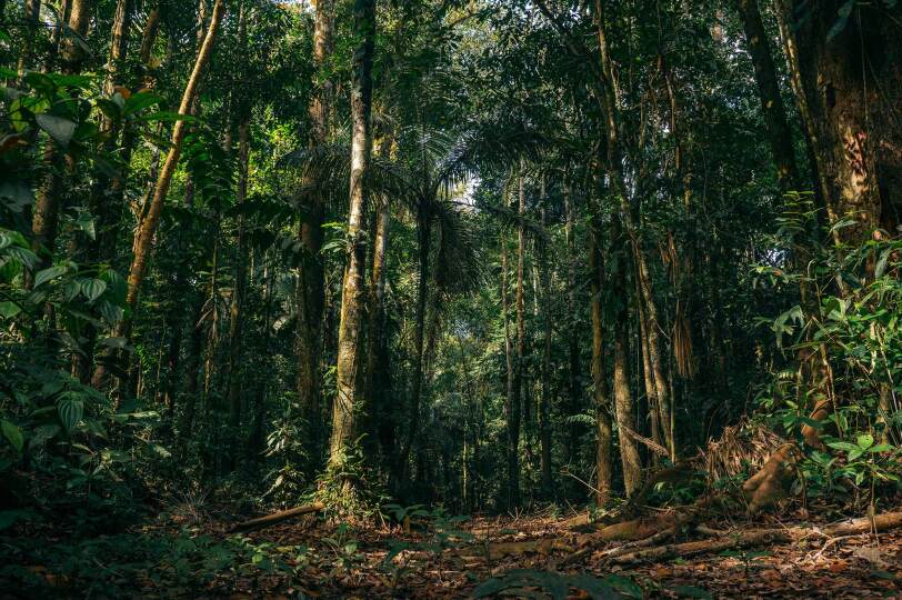 Viaje Perú 