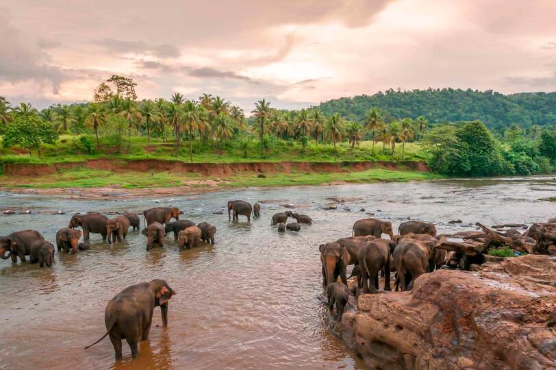 Viaje Sri Lanka