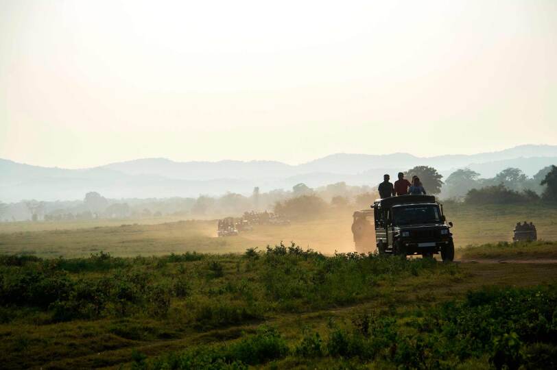 Viaje Sri Lanka