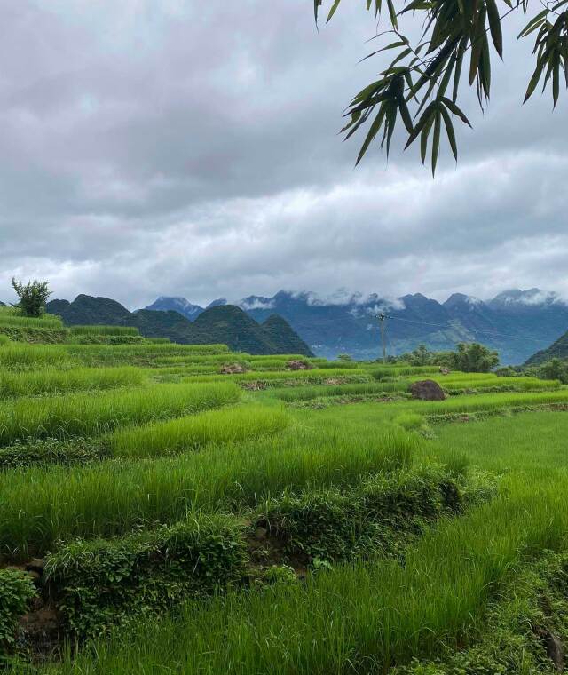 Viatge Vietnam