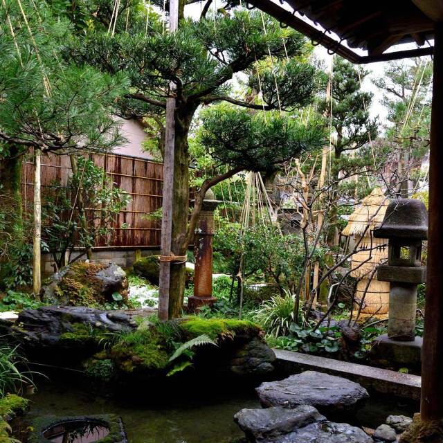 Pasear por uno de los jardines más bellos de Japón.