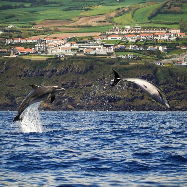 Viatges Açores