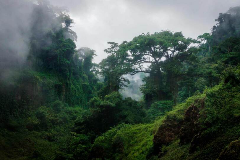 Viaje Camerún