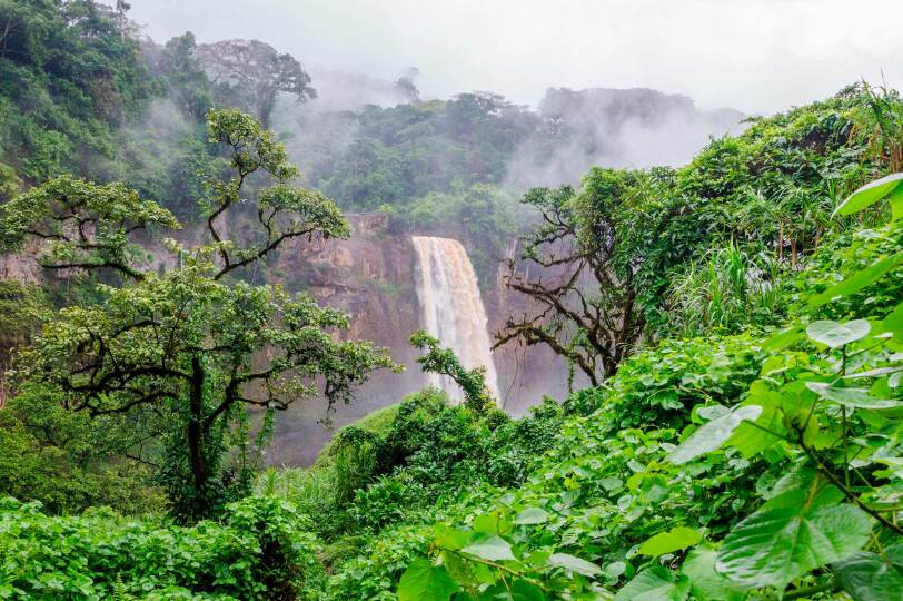 Viaje Camerún