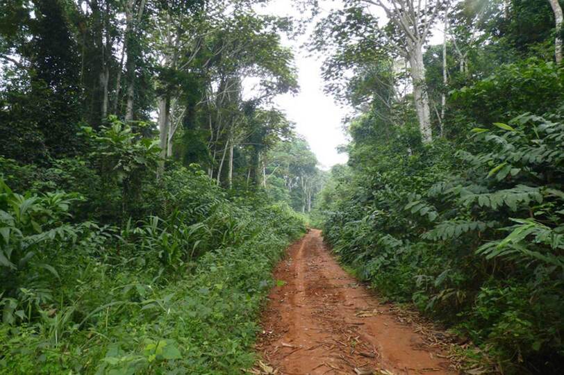 Viaje Camerún