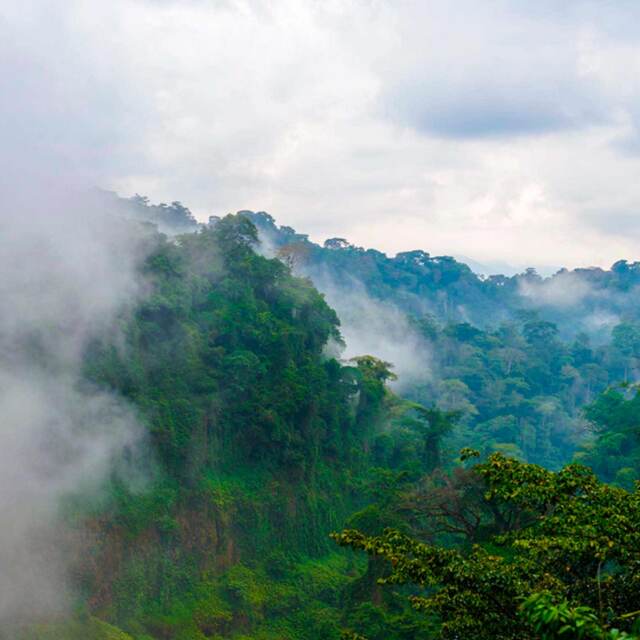 Viaje Camerún